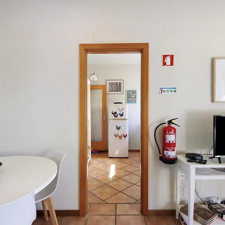 Casa De Andraes Magnolias * Marco de Canavezes