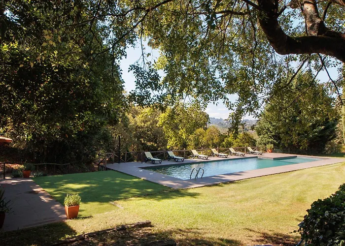 Casa De Andrães Magnolias Casa de Férias *