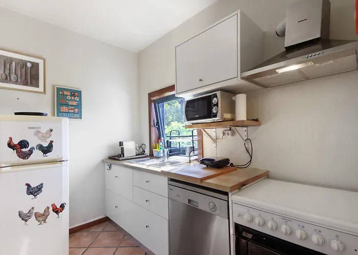 Casa De Andrães Magnolias *