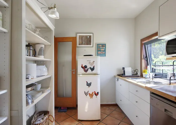 Casa de Férias Casa De Andrães Magnolias *