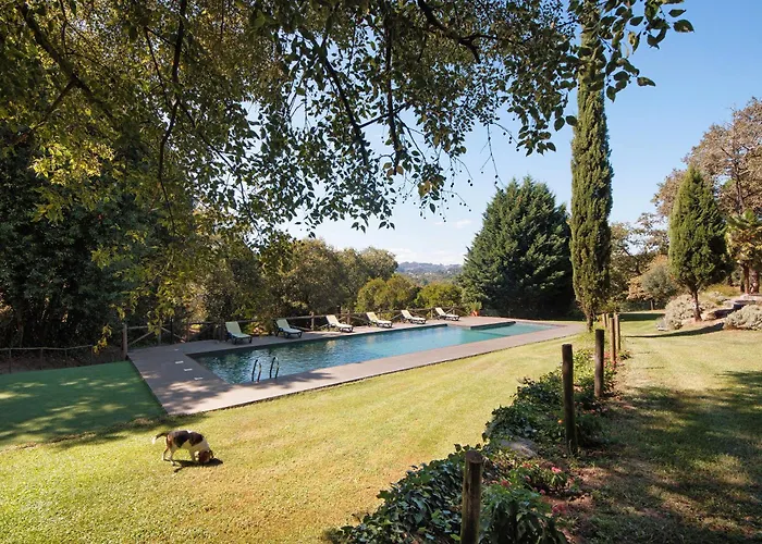 Casa de Férias Casa De Andrães Magnolias