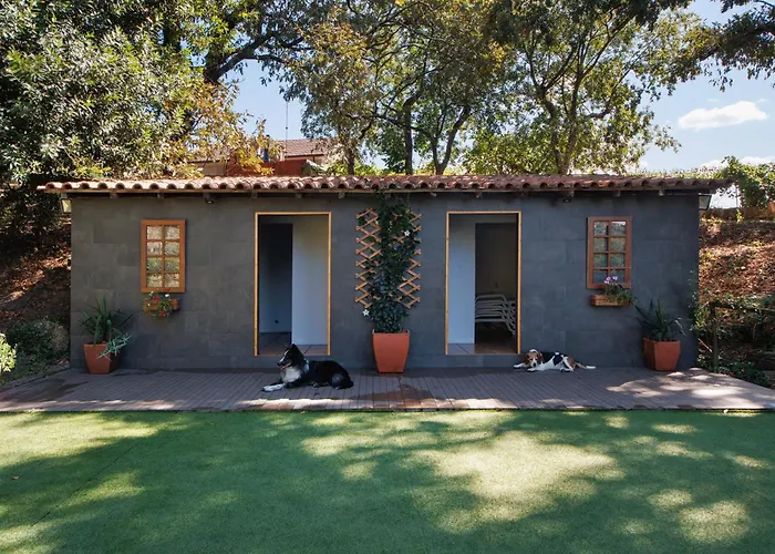 Casa De Andrães Magnolias *