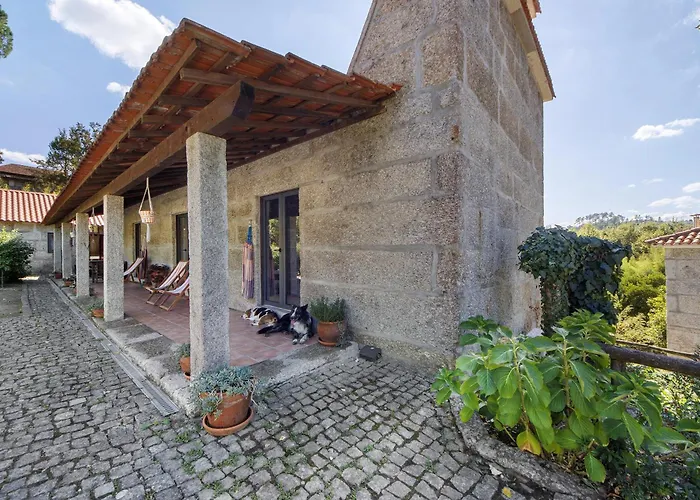 Casa De Andrães Magnolias Casa de Férias